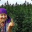 blazing_grandma