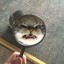 小豪.