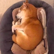 山东地区比较英俊的年轻人