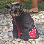 CAT ITACHI