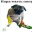 Комунал очка