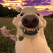 👑💸Captain💸👑