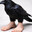 a raven with size twelves