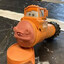 Mater Fleshy
