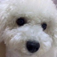 螺旋酷炫吕优优