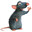 NAA | Ratatouille