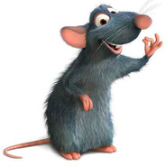 NAA | Ratatouille