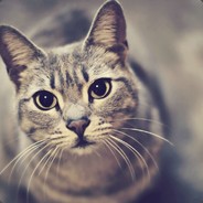 炫迈男吊停不下来