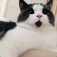 我送起来自己都怕