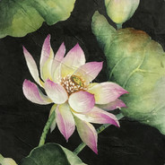 \u8272\u8272\u7684\u5c0f\u674e