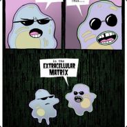 theReign