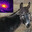 Donkey