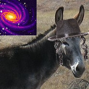 Donkey