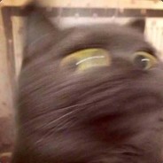 能像你那么潇洒就好了