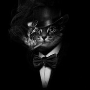 kubi - steam id 76561199337490661