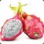 DJ Dragonfruit