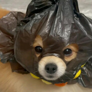 还在机场等船吗