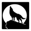 Coyote