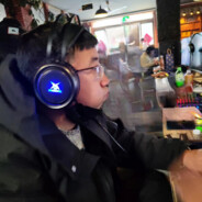 鸽子赵