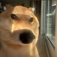 如果逆袭是天赋