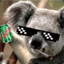MLG Koala