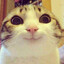 SupPotter