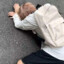 鳝
