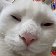 玛卡巴卡（牛马形态）