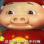 讯捷京少