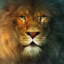 AssLan