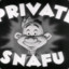 Private snafu