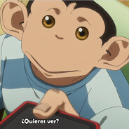 marronsillo
