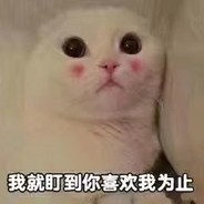 流体最后一个EMO男孩