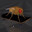 NeuroFly Steam avatar