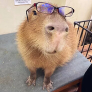 [МВЕ]capibara