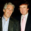 Trump Is A Pedo