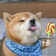 还能再见吗，燕子？