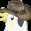 Bird With Cowboy Hat