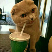 你说谁是小个子