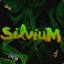 SilviuM