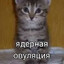 ЯДЕРНАЯ ОВУЛЯЦИЯ