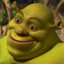 Shrek com cara de sapo