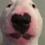 Faze_Walterbandit.gg