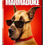 Homie Marmaduke