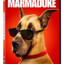 Homie Marmaduke