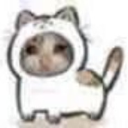 我很自信我是菜狗