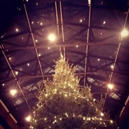 蓝弟弟的肥恐龙