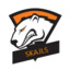 skajls