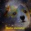 Possibly Your Dog