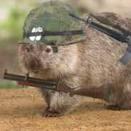 Combat Wombat